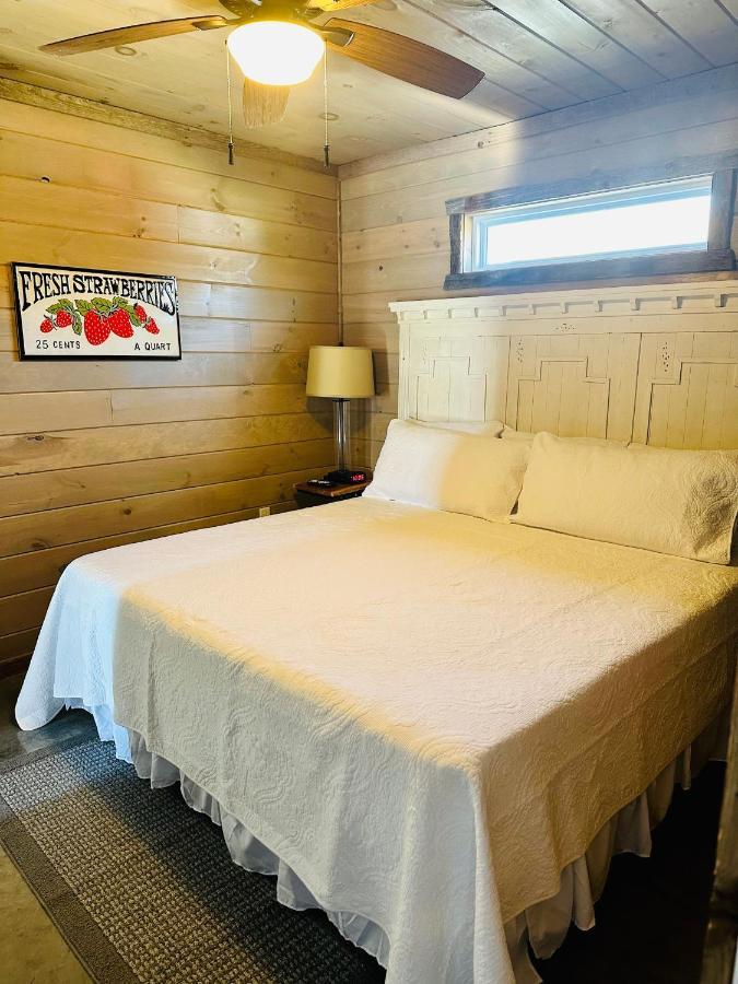 Knotty Squirrel Cabins Маунтин-Вью Экстерьер фото