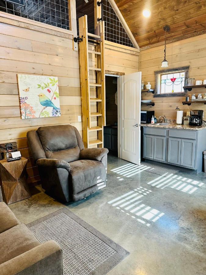Knotty Squirrel Cabins Маунтин-Вью Экстерьер фото
